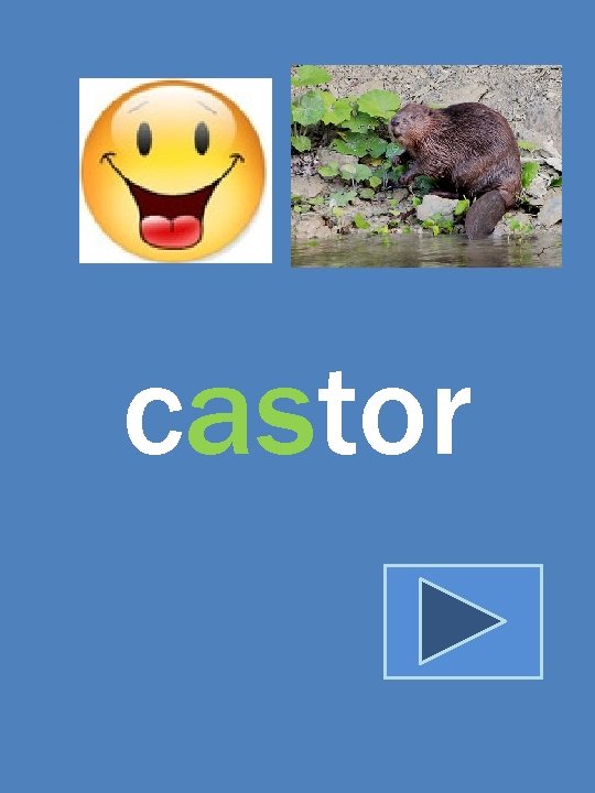 castor 