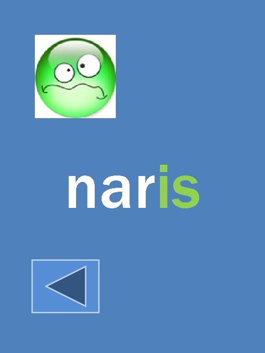 naris 