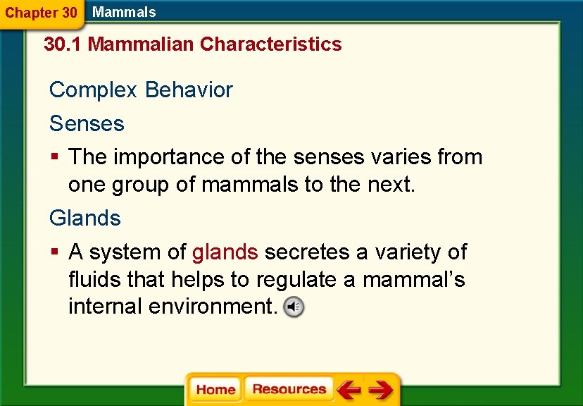 Chapter 30 Mammals 30. 1 Mammalian Characteristics Complex Behavior Senses § The importance of