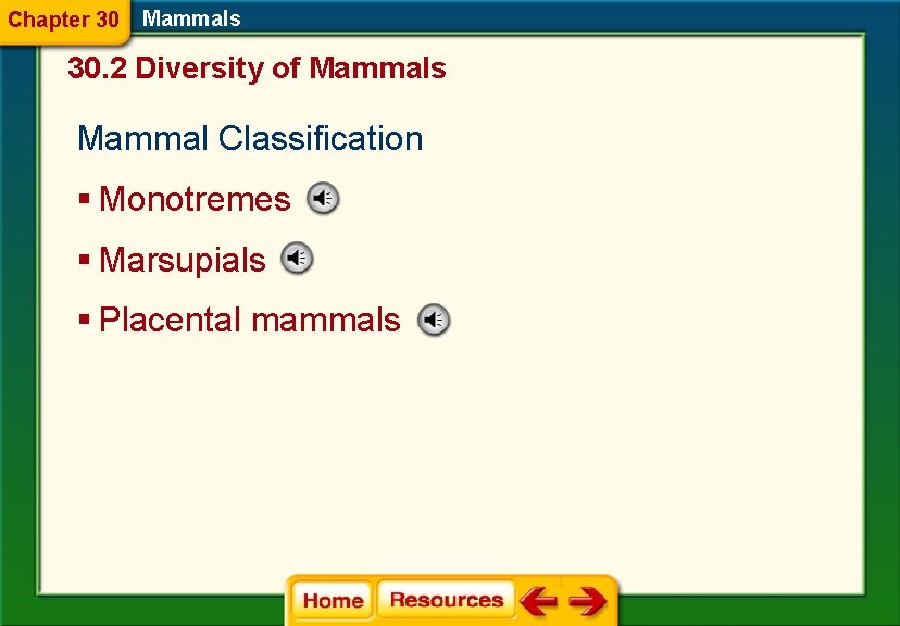 Chapter 30 Mammals 30. 2 Diversity of Mammals Mammal Classification § Monotremes § Marsupials