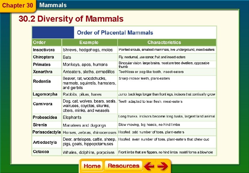 Chapter 30 Mammals 30. 2 Diversity of Mammals 