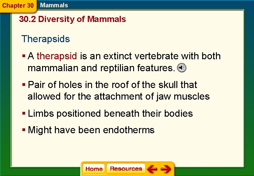 Chapter 30 Mammals 30. 2 Diversity of Mammals Therapsids § A therapsid is an
