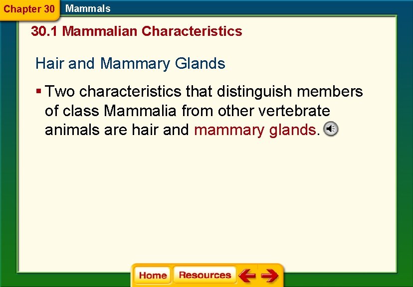 Chapter 30 Mammals 30. 1 Mammalian Characteristics Hair and Mammary Glands § Two characteristics