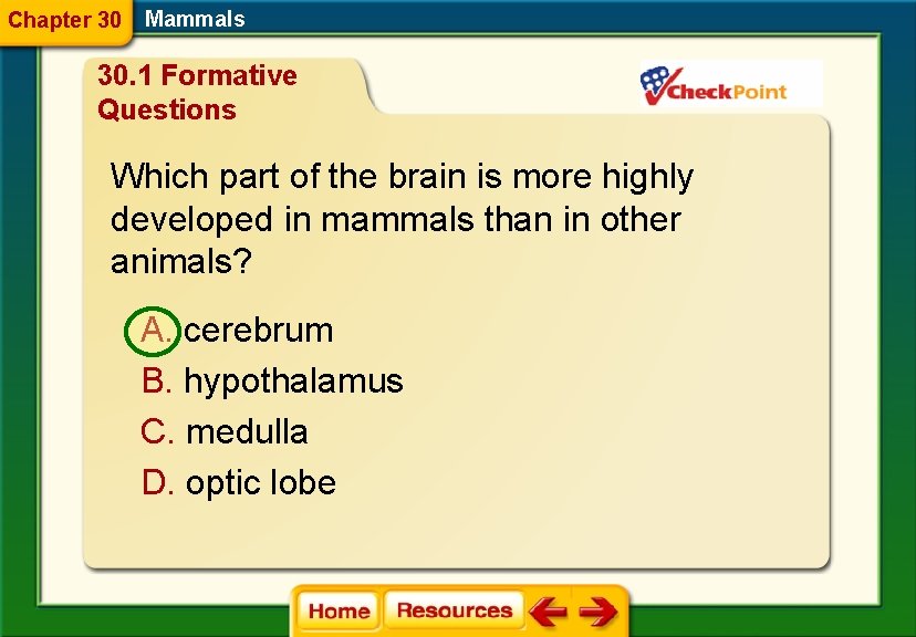 Chapter 30 Mammals 30. 1 Formative Questions Which part of the brain is more