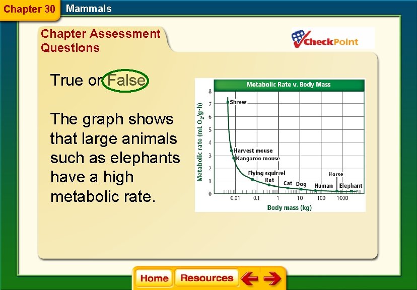 Chapter 30 Mammals Chapter Assessment Questions True or False The graph shows that large