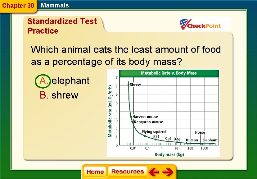 Chapter 30 Mammals Standardized Test Practice Which animal eats the least amount of food