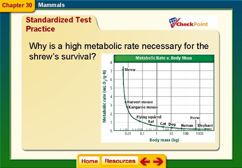 Chapter 30 Mammals Standardized Test Practice Why is a high metabolic rate necessary for