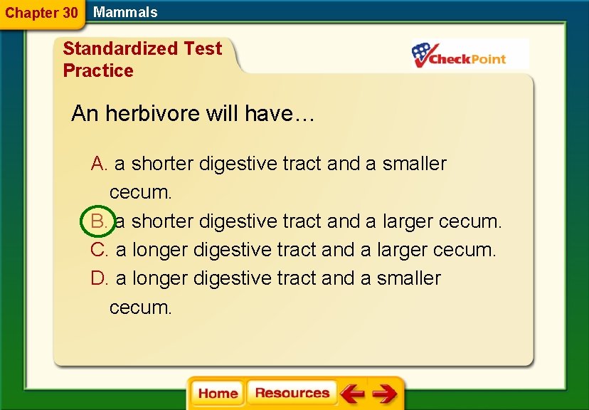 Chapter 30 Mammals Standardized Test Practice An herbivore will have… A. a shorter digestive