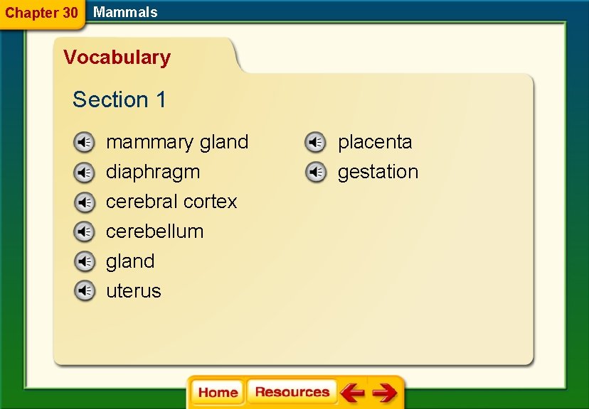 Chapter 30 Mammals Vocabulary Section 1 mammary gland placenta diaphragm cerebral cortex cerebellum gland