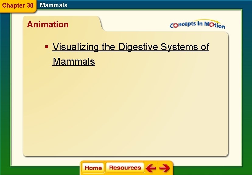 Chapter 30 Mammals Animation § Visualizing the Digestive Systems of Mammals 