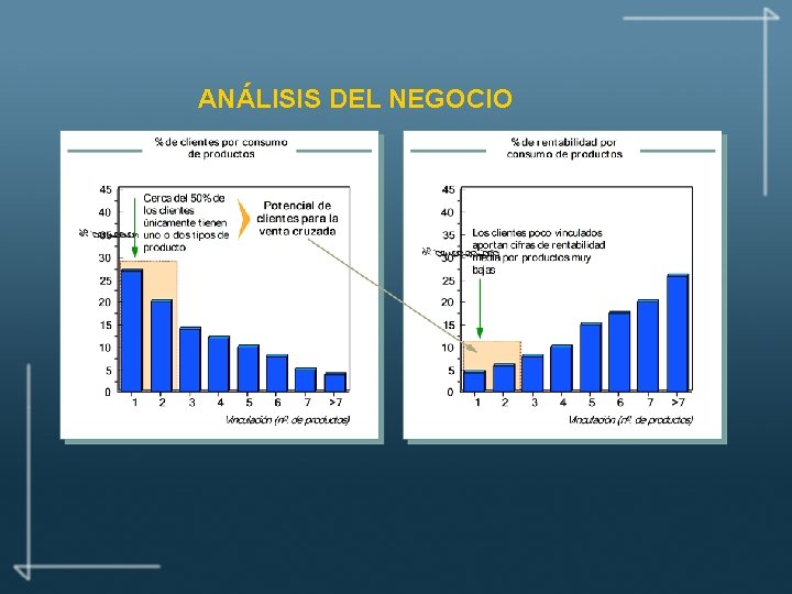 ANÁLISIS DEL NEGOCIO 