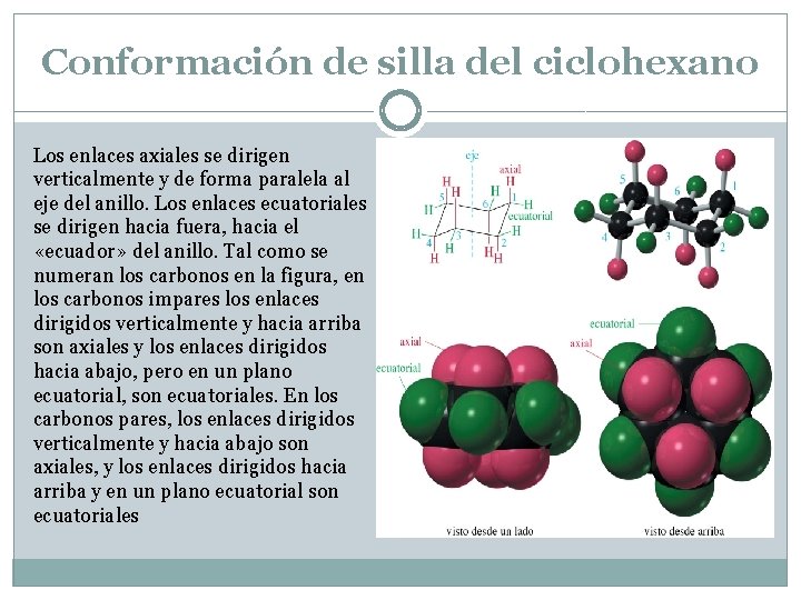 Conformación de silla del ciclohexano Los enlaces axiales se dirigen verticalmente y de forma