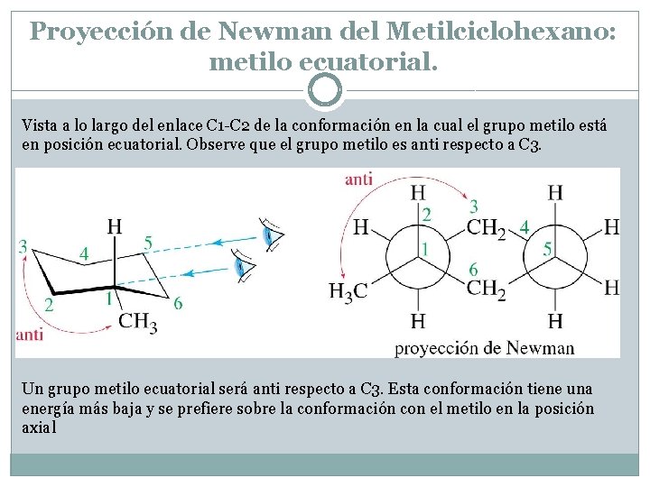Proyección de Newman del Metilciclohexano: metilo ecuatorial. Vista a lo largo del enlace C