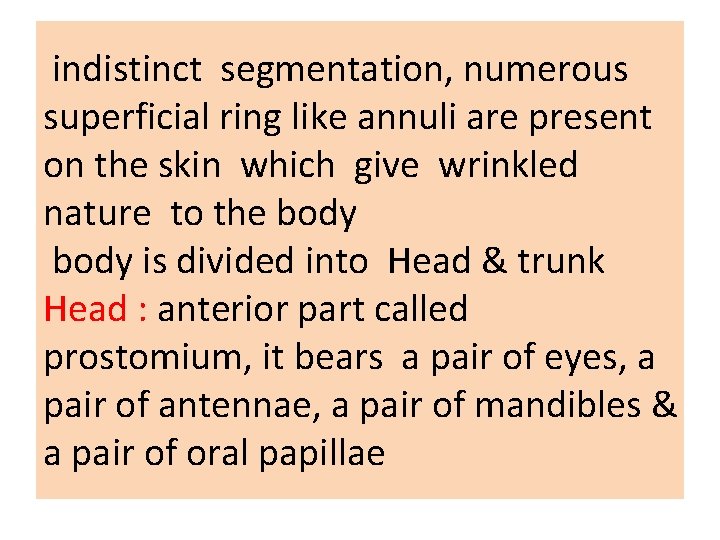 indistinct segmentation, numerous superficial ring like annuli are present on the skin which give