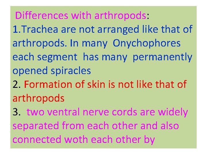 Differences with arthropods: 1. Trachea are not arranged like that of arthropods. In many