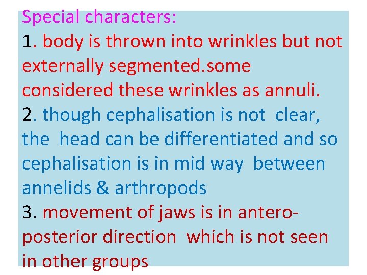 Special characters: 1. body is thrown into wrinkles but not externally segmented. some considered