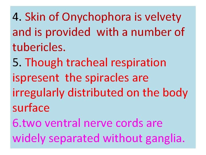 4. Skin of Onychophora is velvety and is provided with a number of tubericles.