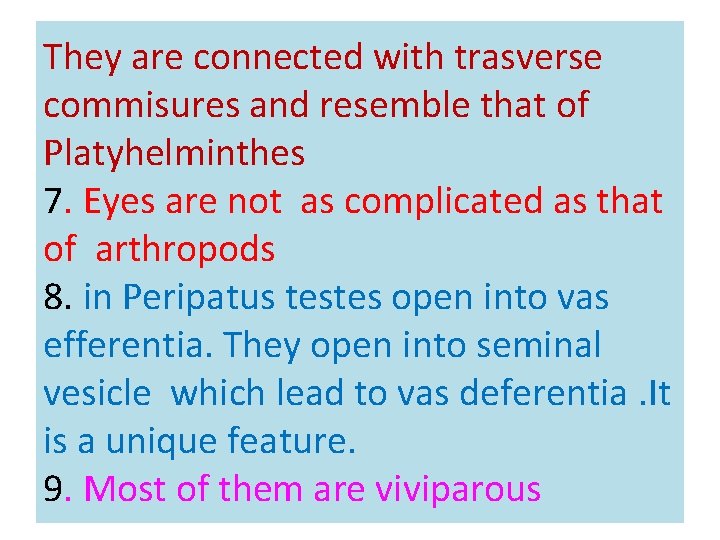 They are connected with trasverse commisures and resemble that of Platyhelminthes 7. Eyes are
