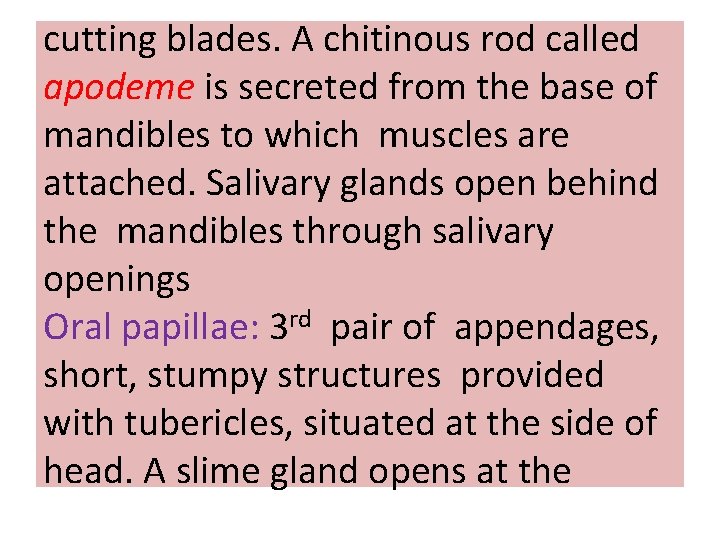 cutting blades. A chitinous rod called apodeme is secreted from the base of mandibles