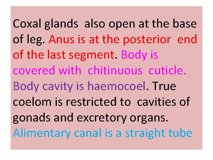 Coxal glands also open at the base of leg. Anus is at the posterior