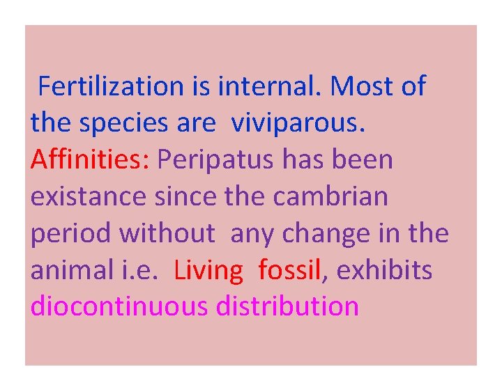 Fertilization is internal. Most of the species are viviparous. Affinities: Peripatus has been existance