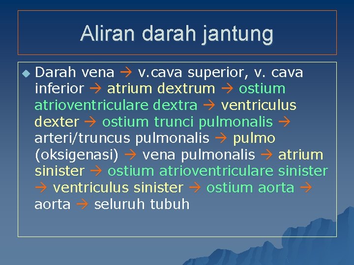 Aliran darah jantung u Darah vena v. cava superior, v. cava inferior atrium dextrum