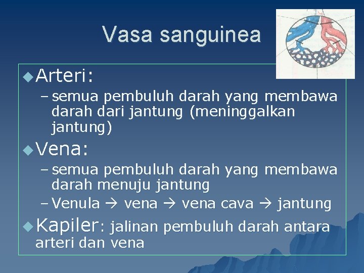 Vasa sanguinea u Arteri: – semua pembuluh darah yang membawa darah dari jantung (meninggalkan