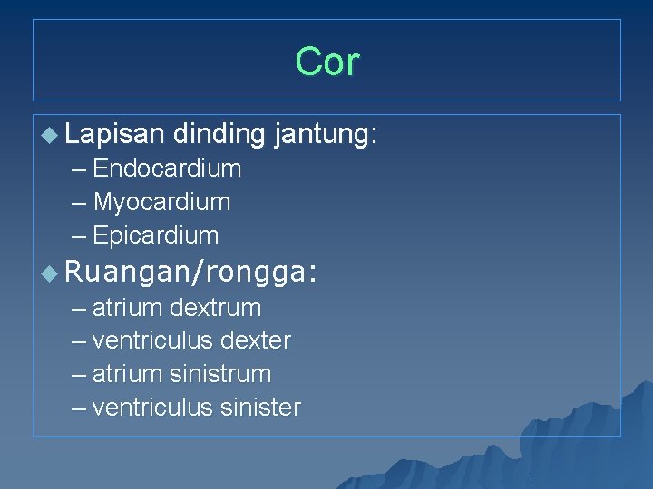 Cor u Lapisan dinding jantung: – Endocardium – Myocardium – Epicardium u Ruangan/rongga: –