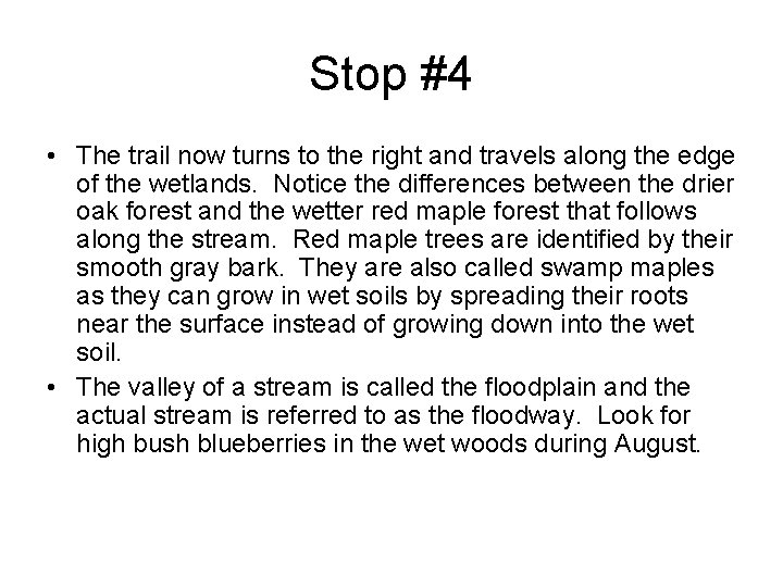 Stop #4 • The trail now turns to the right and travels along the