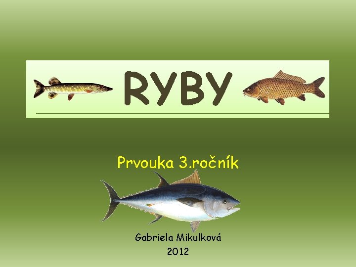 RYBY Prvouka 3. ročník Gabriela Mikulková 2012 