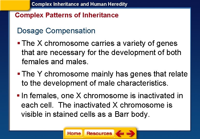 Complex Inheritance and Human Heredity Complex Patterns of Inheritance Dosage Compensation § The X