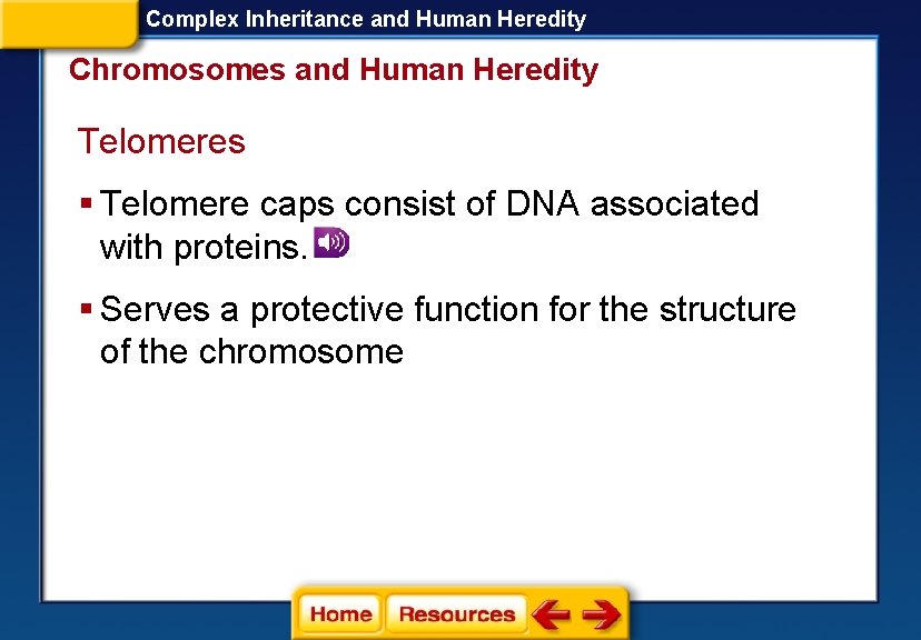Complex Inheritance and Human Heredity Chromosomes and Human Heredity Telomeres § Telomere caps consist