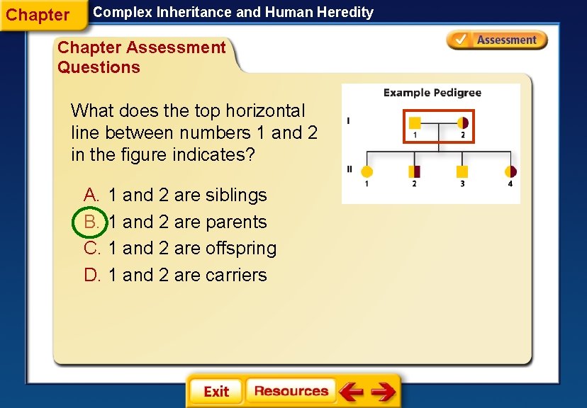 Chapter Complex Inheritance and Human Heredity Chapter Assessment Questions What does the top horizontal
