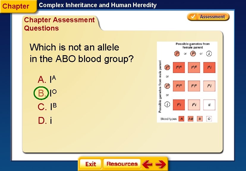 Chapter Complex Inheritance and Human Heredity Chapter Assessment Questions Which is not an allele