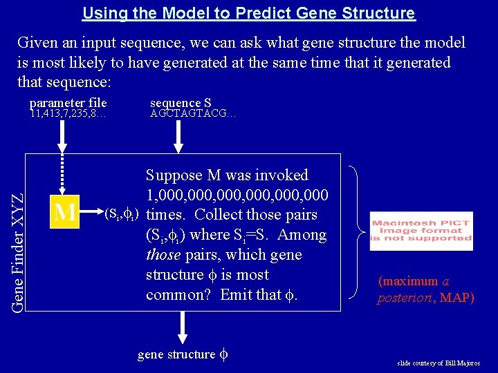 Using the Model to Predict Gene Structure Given an input sequence, we can ask