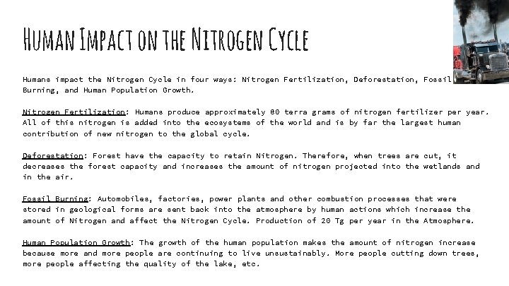 Human Impact on the Nitrogen Cycle Humans impact the Nitrogen Cycle in four ways: Human Impact on the Nitrogen Cycle Humans impact the Nitrogen Cycle in four ways: