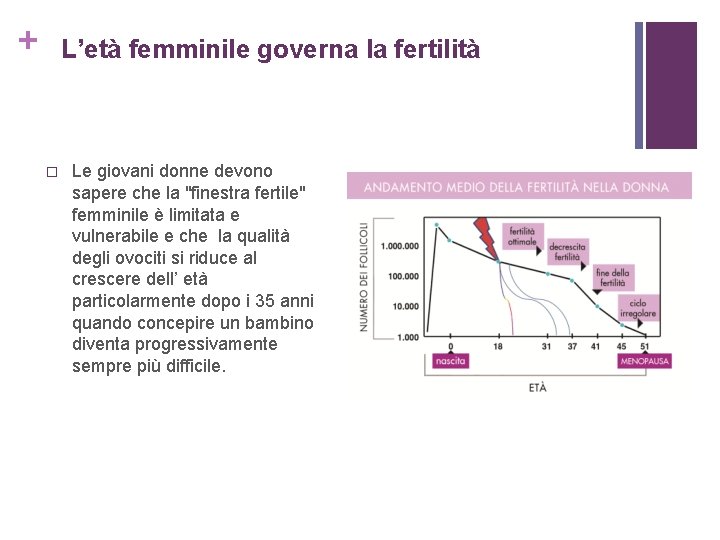 + L’età femminile governa la fertilità Le giovani donne devono sapere che la "finestra