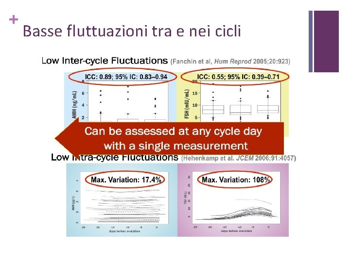 + Basse fluttuazioni tra e nei cicli 