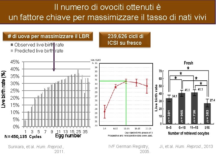 Il numero di ovociti ottenuti è un fattore chiave per massimizzare il tasso di