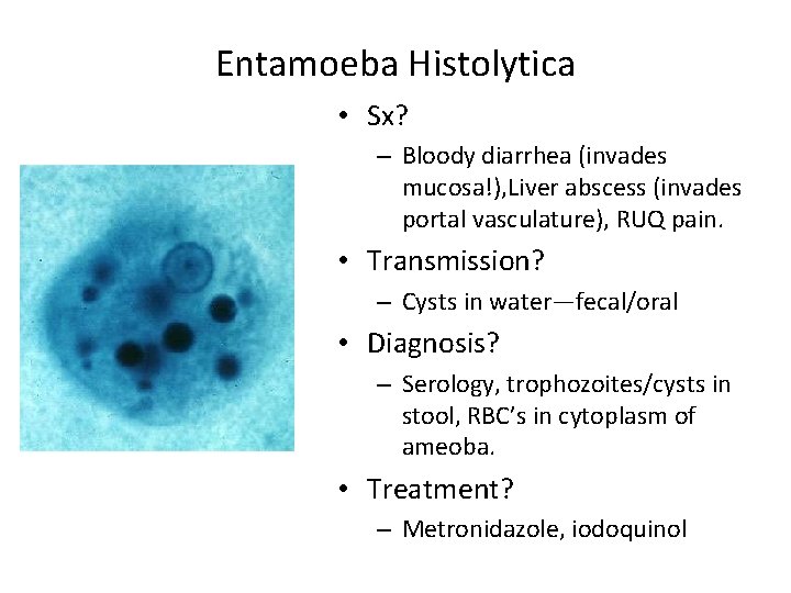 Entamoeba Histolytica • Sx? – Bloody diarrhea (invades mucosa!), Liver abscess (invades portal vasculature),