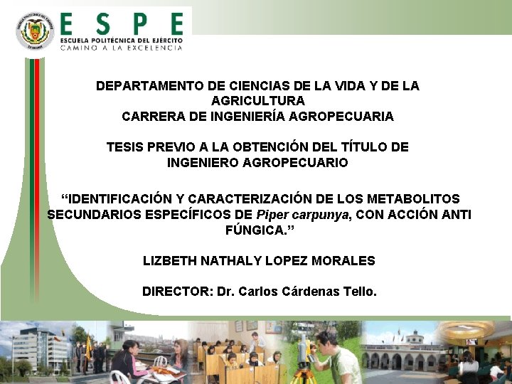 DEPARTAMENTO DE CIENCIAS DE LA VIDA Y DE LA AGRICULTURA CARRERA DE INGENIERÍA AGROPECUARIA