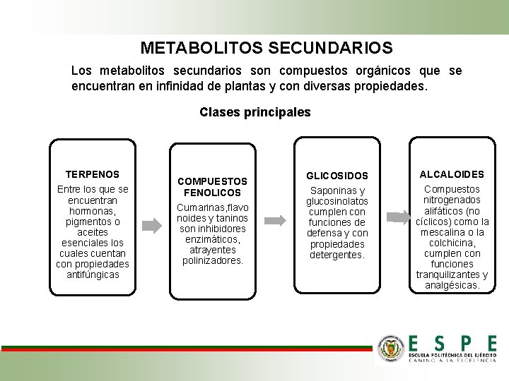 METABOLITOS SECUNDARIOS Los metabolitos secundarios son compuestos orgánicos que se encuentran en infinidad de