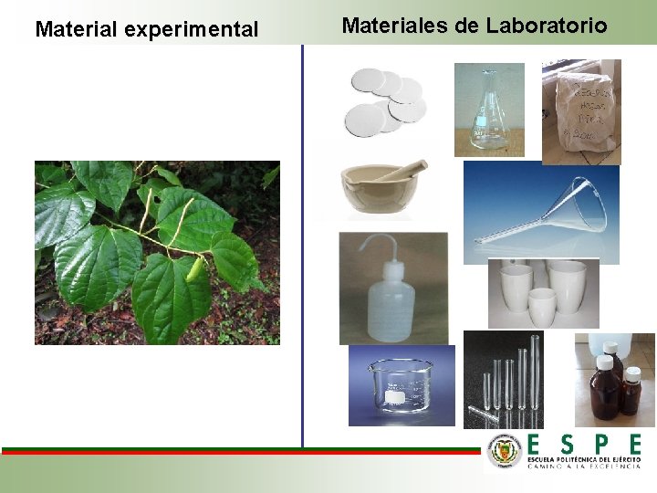 Material experimental Materiales de Laboratorio 