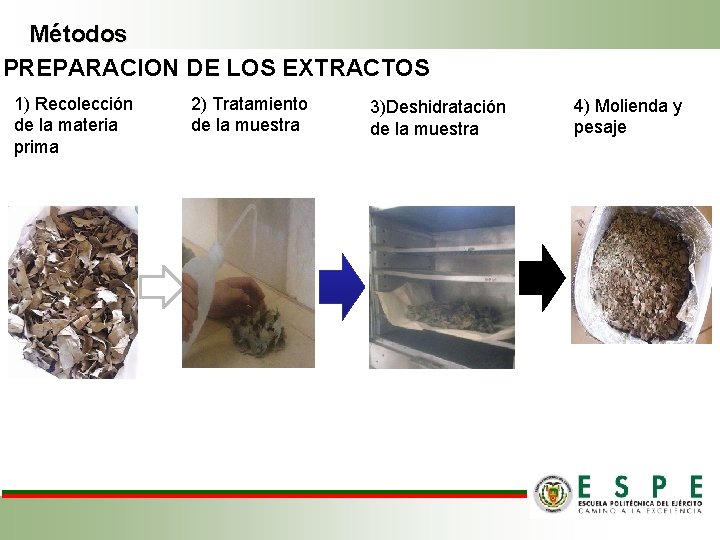 Métodos PREPARACION DE LOS EXTRACTOS 1) Recolección de la materia prima 2) Tratamiento de