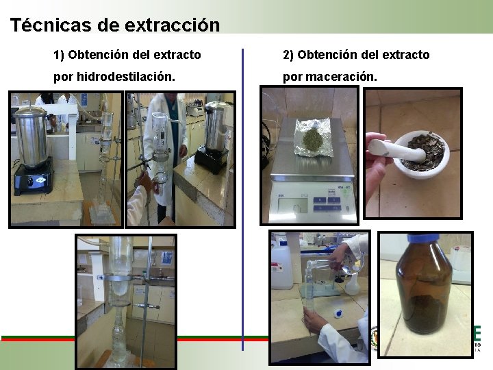 Técnicas de extracción 1) Obtención del extracto 2) Obtención del extracto por hidrodestilación. por
