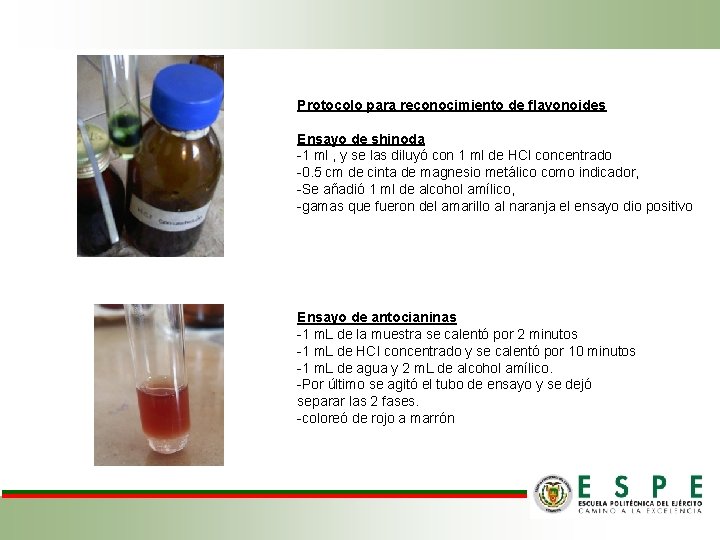 Protocolo para reconocimiento de flavonoides Ensayo de shinoda -1 ml , y se las