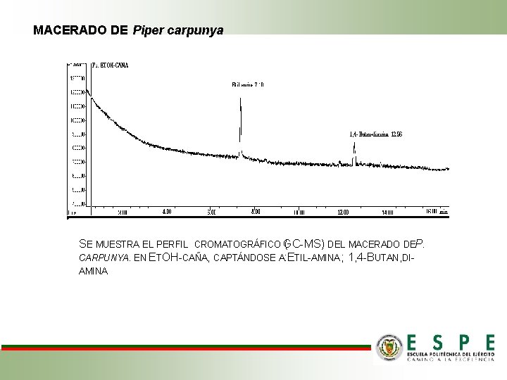 MACERADO DE Piper carpunya SE MUESTRA EL PERFIL CROMATOGRÁFICO (GC-MS) DEL MACERADO DEP .