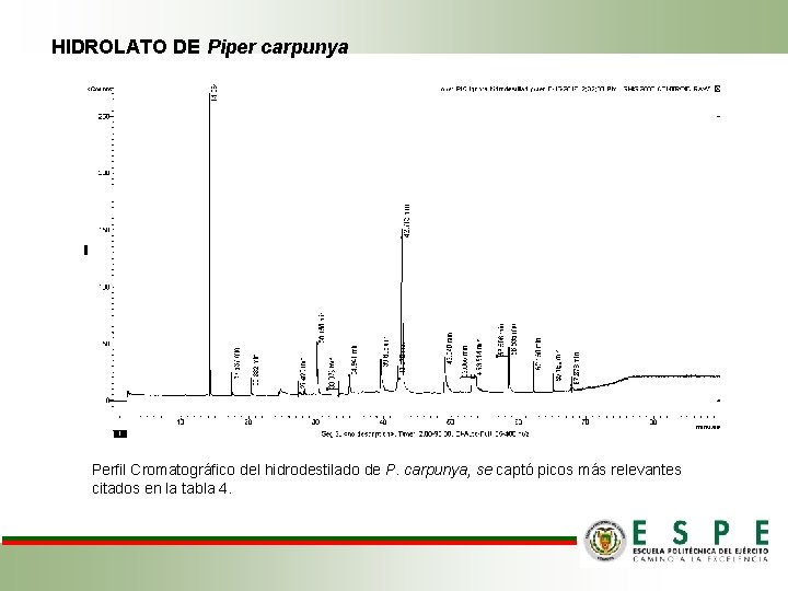 HIDROLATO DE Piper carpunya Perfil Cromatográfico del hidrodestilado de P. carpunya, se captó picos