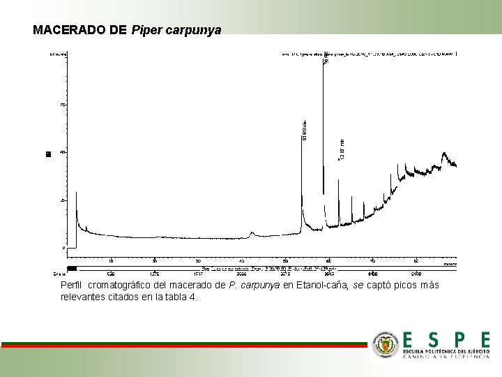 MACERADO DE Piper carpunya Perfil cromatográfico del macerado de P. carpunya en Etanol-caña, se