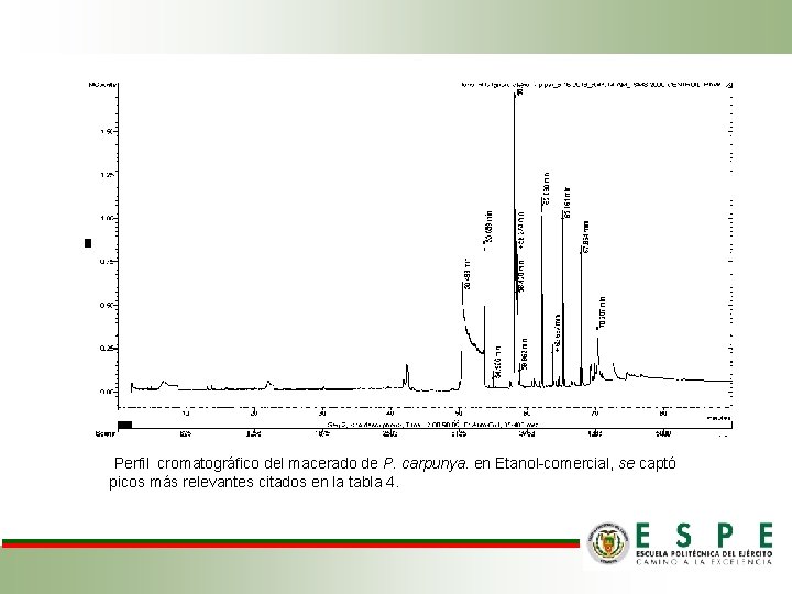  Perfil cromatográfico del macerado de P. carpunya. en Etanol-comercial, se captó picos más